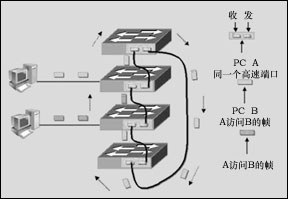 交换机的堆叠与级连的区别（图）（图二）