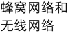 蜂窝网络和无线网络